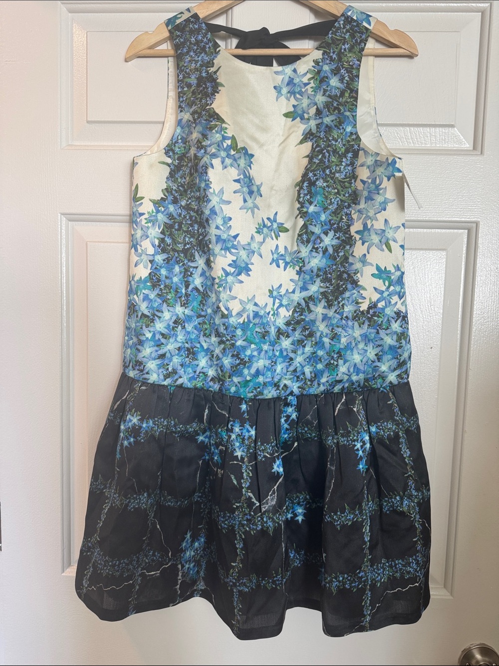 Tibi Floral Sleeveless Dress in Blue, White and Black
